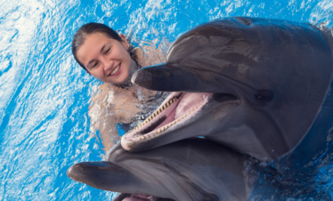 Dolphin encounter Roatan
